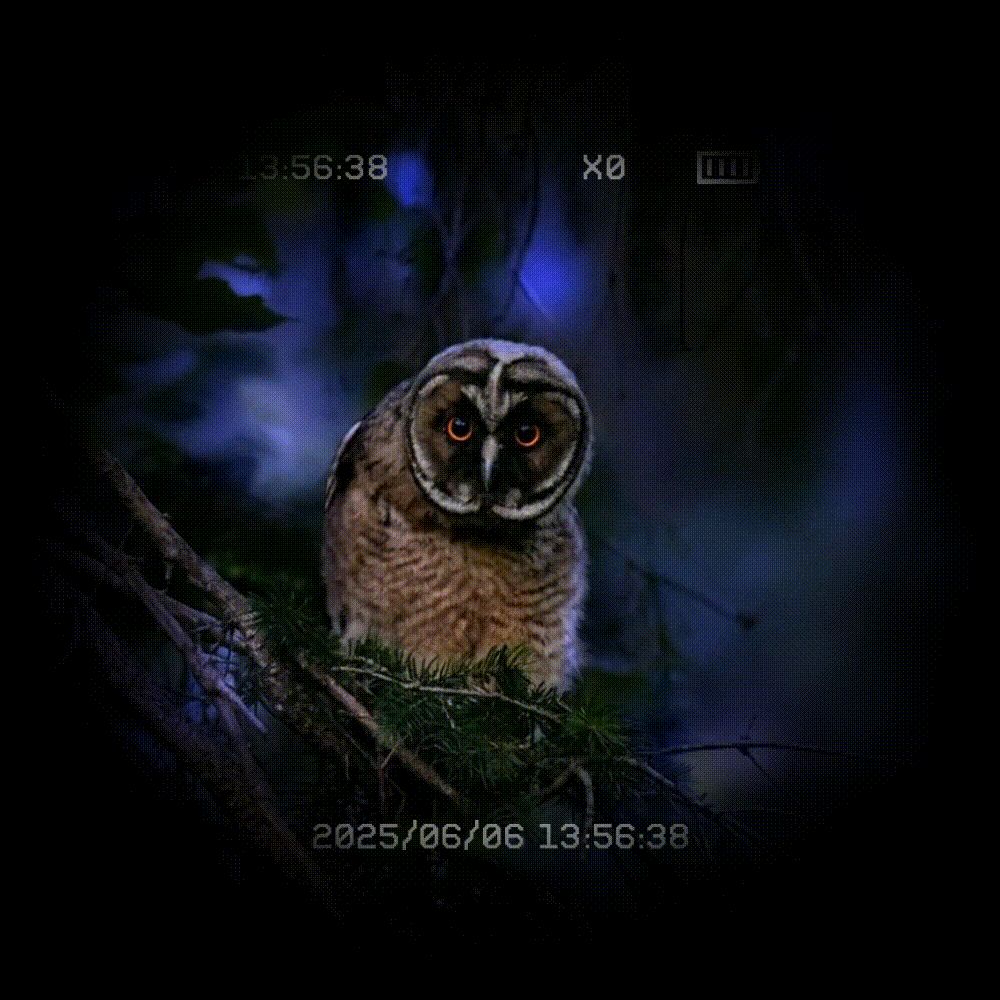 The most comprehensive guide of night vision devices|CIGMAN